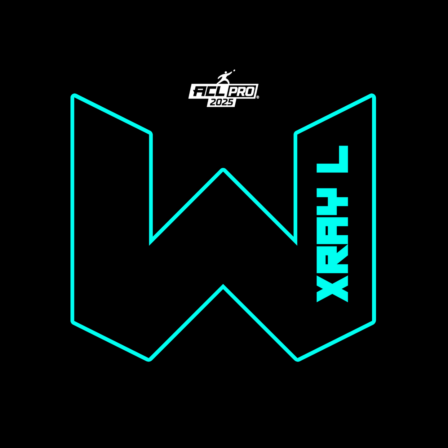 2025 WTF X-RAY Aqua carpet - ACL Pro Stamped Cornhole Bags - Set of 4 bags