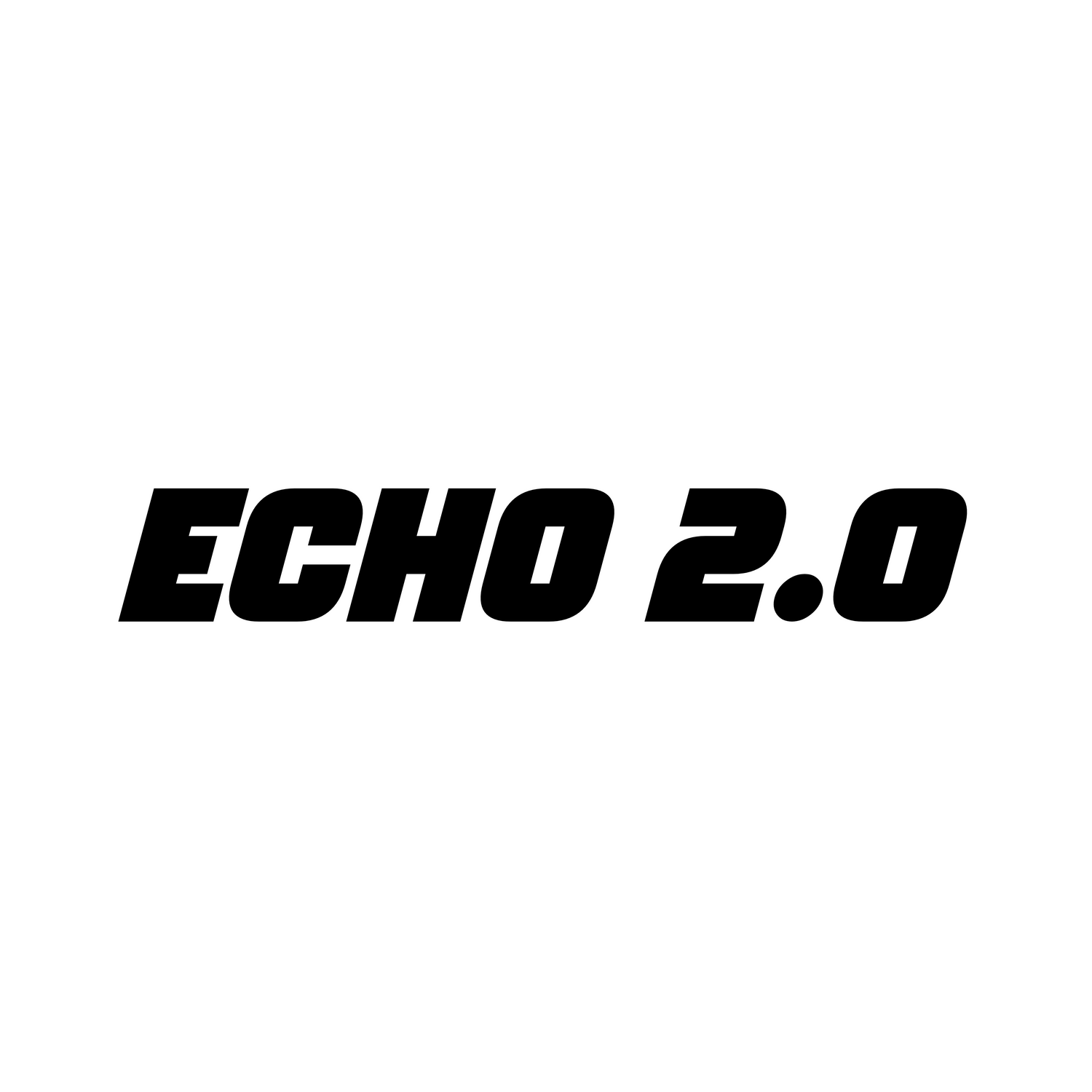 WTF Echo 2.0 - ACL Pro Stamped Cornhole Bags