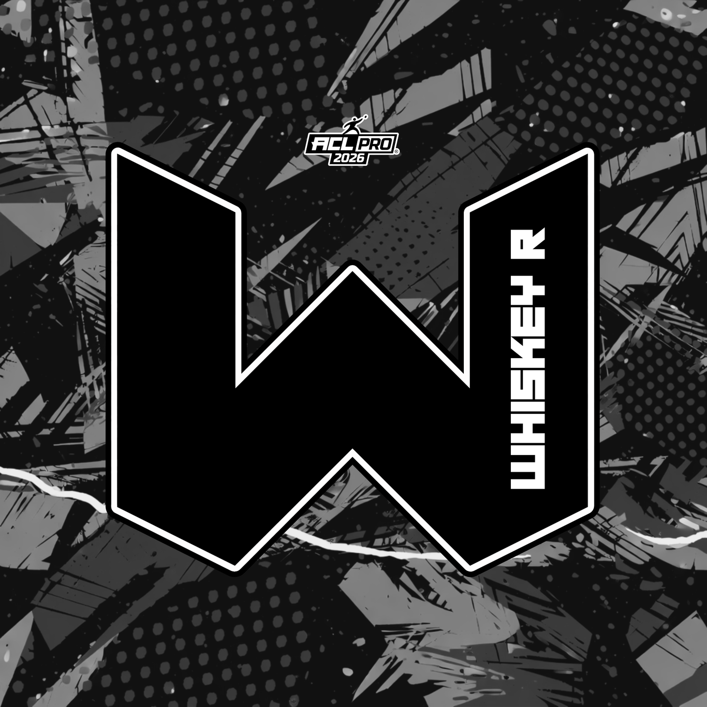 2026 WTF Whiskey Abstract Design - ACL Pro Stamped Cornhole Bags - Set of 4 bags