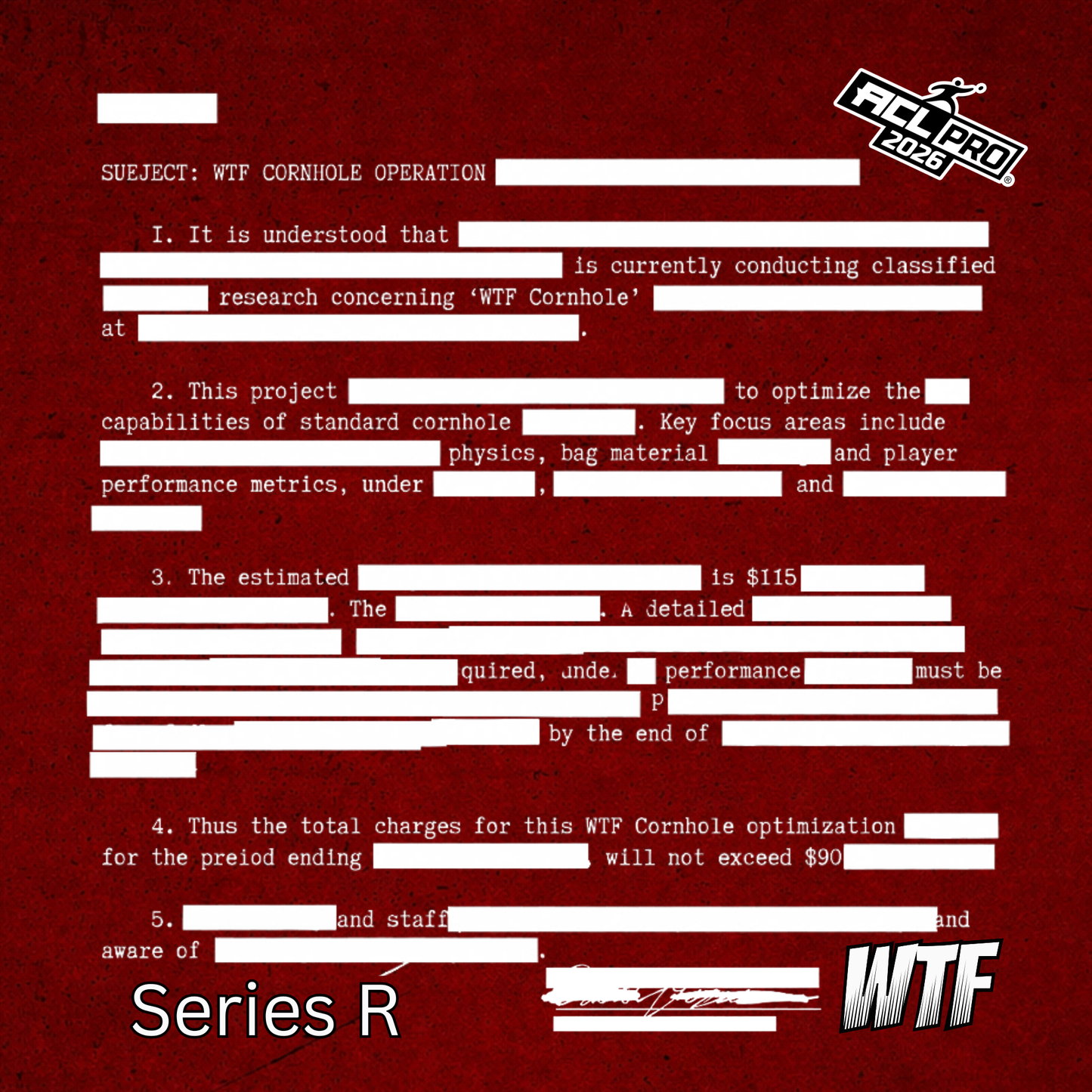 Redacted 2026 WTF Designs - ACL Stamped Cornhole Bags - Set of 4 bags